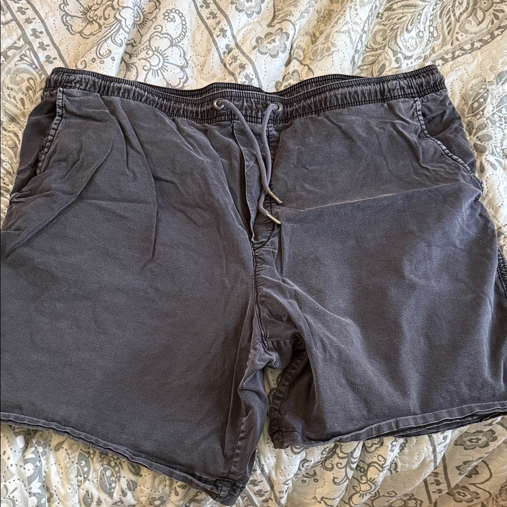 American Eagle Outfitters Dark Gray Men's Shorts